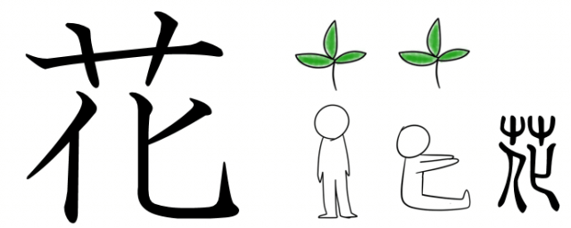漢字の成り立ち・イラスト「花」